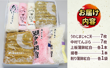 じゃこ天 蒲鉾 詰め合わせ Bセット 中村かまぼこ店 蒲鉾 C018-013002