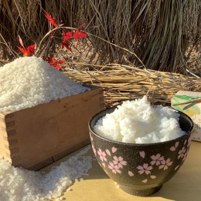 ふるさと納税 大子町 【新米先行予約】アミーゴ米 3kg(コシヒカリ・白米・天日干し)【11月中旬頃出荷】|茨城県 大子町 |  | 01