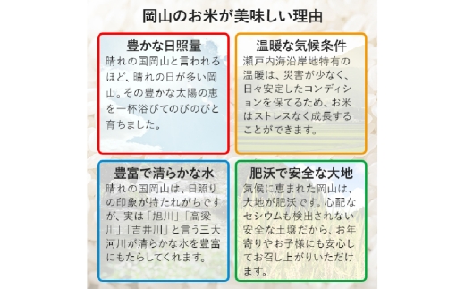 【令和7年産】 にこまる 5kg×2袋 計10kg 精米 【2026年8月下旬まで発送予定】 お米 米 コメ ご飯 ごはん ゴハン 白ご飯 白米 2袋 モチモチ ツヤツヤ