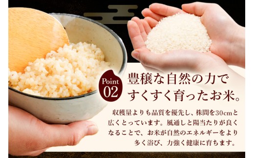 【ふるさと納税】令和8年度産 新米 玄米 ひのひかり 2kg 自然栽培 農薬不使用 米 お米 国産 ご飯 ごはん こめ コメ ヒノヒカリ 健康 食物繊維 腸活 ヘルシー 自然食品 ヴィーガン 家庭用 