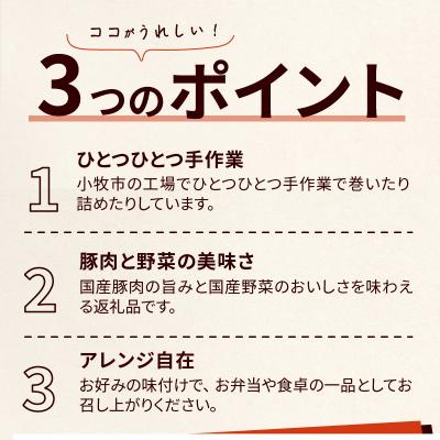 ふるさと納税 小牧市 <2か月に1回　計3回　定期便>国産豚で作った惣菜セット6種[022J25-T] |  | 02