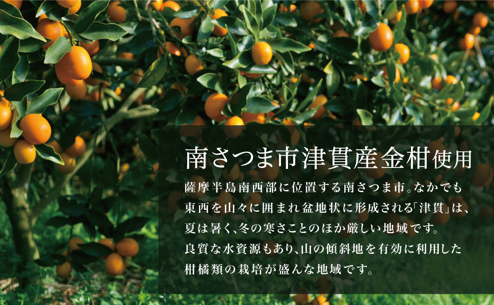 【本坊酒造】金柑リキュール TSUNUKI KUMQUAT（ツヌキ カムクワット） 700ml ソーダ割り カクテル ロック 金柑 ギフト箱 マルス 津貫 酒 お酒 果実酒 柑橘 フルーツ 40% 4