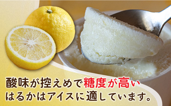 【限定25セット！】はるかみかんアイスクリーム8個セット≪糸島市≫【あいしん食品株式会社】数量限定 [AGI001]