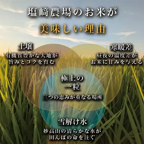 【先行予約・定期便3回配送】塩崎農場 新之助 精米 白米 送料無料 新之助 30kg