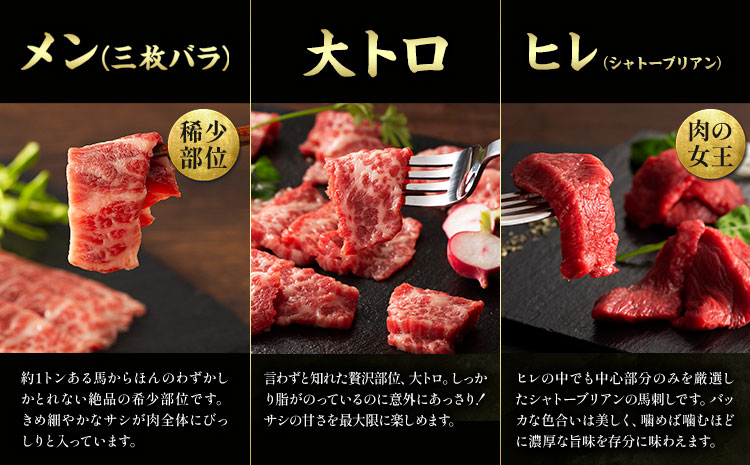 馬肉 熊本特産 フジチクオリジナル ふじ 馬刺し 堪能 セット 道の駅竜北《30日以内に出荷予定(土日祝除く)》 熊本県 氷川町 肉 馬肉 メン 大トロ 中トロ ヒレ シャトーブリアン ロース ランプ
