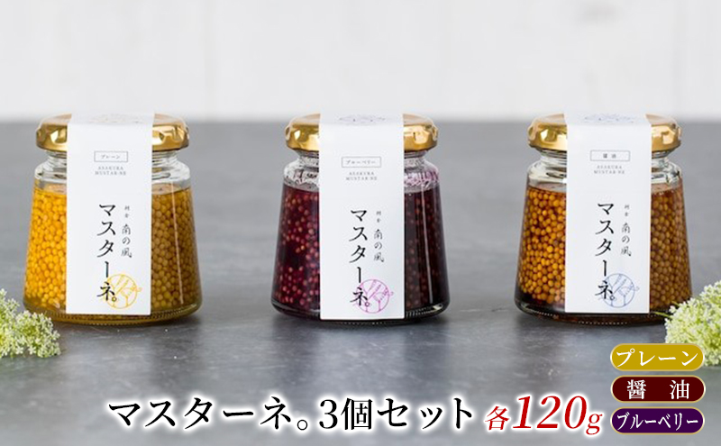 調味料 マスタード 3本 セット マスターネ。 プレーン 醤油 ブルーベリー 各120g 瓶 食べ比べ ※配送不可:離島