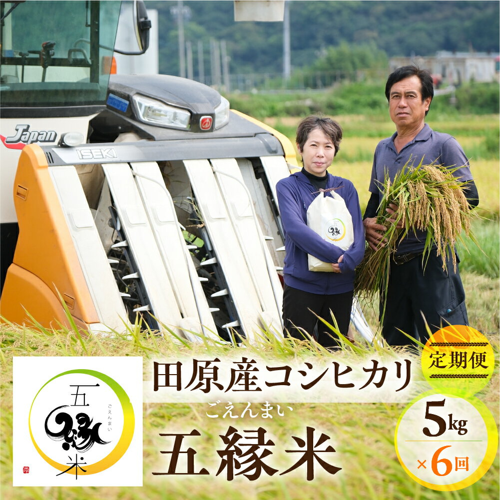 【ふるさと納税】 【先行予約】五縁米5 kg　定期便6回 こしひかり お米 おこめ 米 コメ ごはん コシヒカリ ご飯 おかず 白飯 白ごはん ブランド米 お弁当 精米 お取り寄せ 災害 備え 愛知県 田原市 人気 どうまい