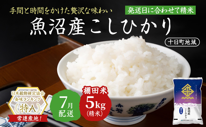 【令和7年産米】魚沼産こしひかり 棚田米(十日町地域) 精米 5kg 7月配送 お米 精米 こめ ご飯 白米 旧：五郎兵衛