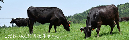 近江牛 味付け ホルモン 秘伝のタレ漬け 近江牛 ミノ 900g ( 300g × 3 ) 【FO77W】 近江牛 牛肉 焼肉 BBQ