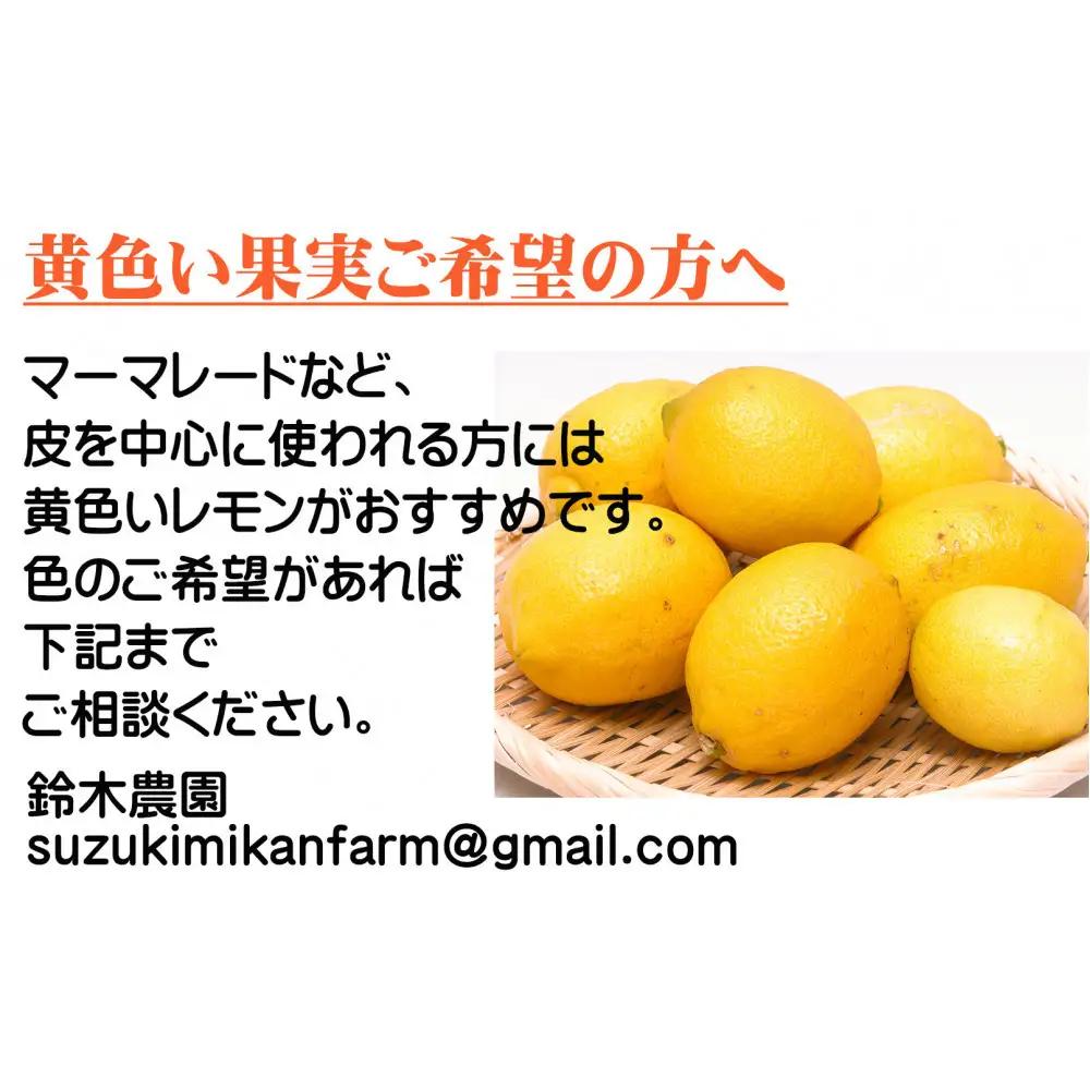 レモン 約5kg 大小混合サイズ ちょっと訳あり 11月～2月に鈴木みかん農園より農園直送！ 青いレモン 黄色いレモン ※北海道・沖縄・離島への配送不可