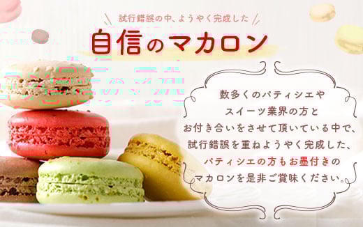 【2025年11月発送】 一流パティシエが認めるホテル使用品 お試し マカロン セット 12個（6種類×2個）冷凍 スイーツ デザート とろとろ 洋菓子 【選べる配送月】