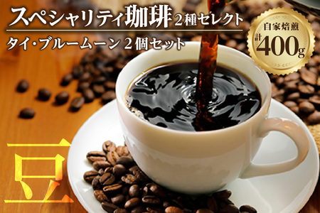 【スペシャリティ珈琲豆】タイ・ブルームーン+タイ・ブルームーン コーヒー コーヒー豆 飲料 飲み物 ドリンク ブレンド 焙煎 自家焙煎 セット 味わい 苦味 愛知県 知多市 特産品