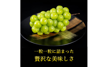 《山形県産》 新鮮 シャインマスカット 1kg（1房 - 3房）【2025年9月中旬～10月頃発送予定】　013-B-JA008