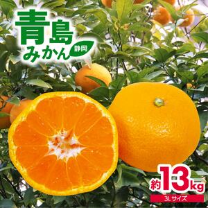 みかん 13kg 青島 みかん 1月中旬発送 静岡みかん 藤枝