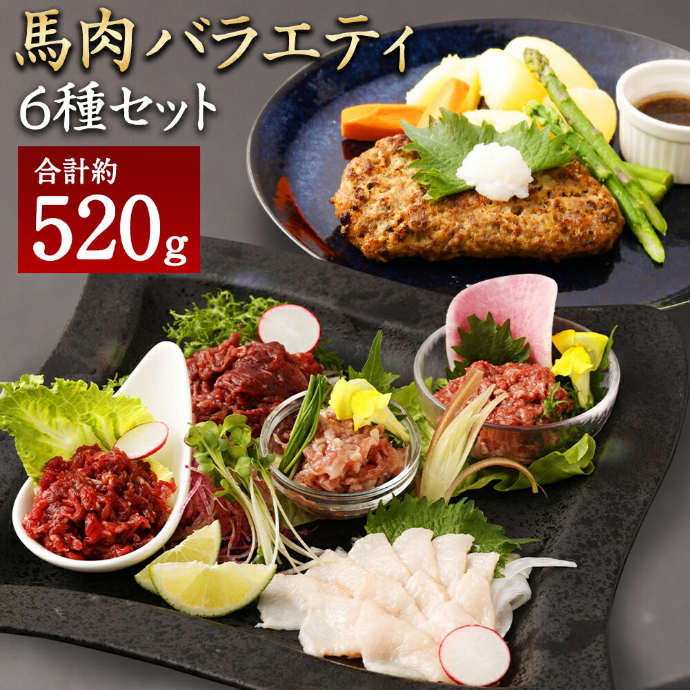 【ふるさと納税】6種馬肉バラエティ 約520g (赤身切り落とし・コウネ・フタエゴダイス・線切り(ユッケ)・桜うまトロ・馬肉ハンバーグ・タレ・おろしポン酢・ユッケのタレ・万能和風ソース) 馬刺し 馬刺 食べ比べ 熊本県 湯前町 送料無料