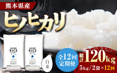 〈令和8年度産米〉 【全12回定期便】 ヒノヒカリ 白米 10kg【株式会社 農産ベストパートナー】 令和8年産 [ZBP079]