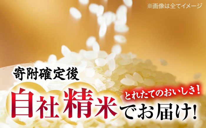 米 お米 白米 精米 こめ ごはん あきろまん 広島県産 ブランド米 国産