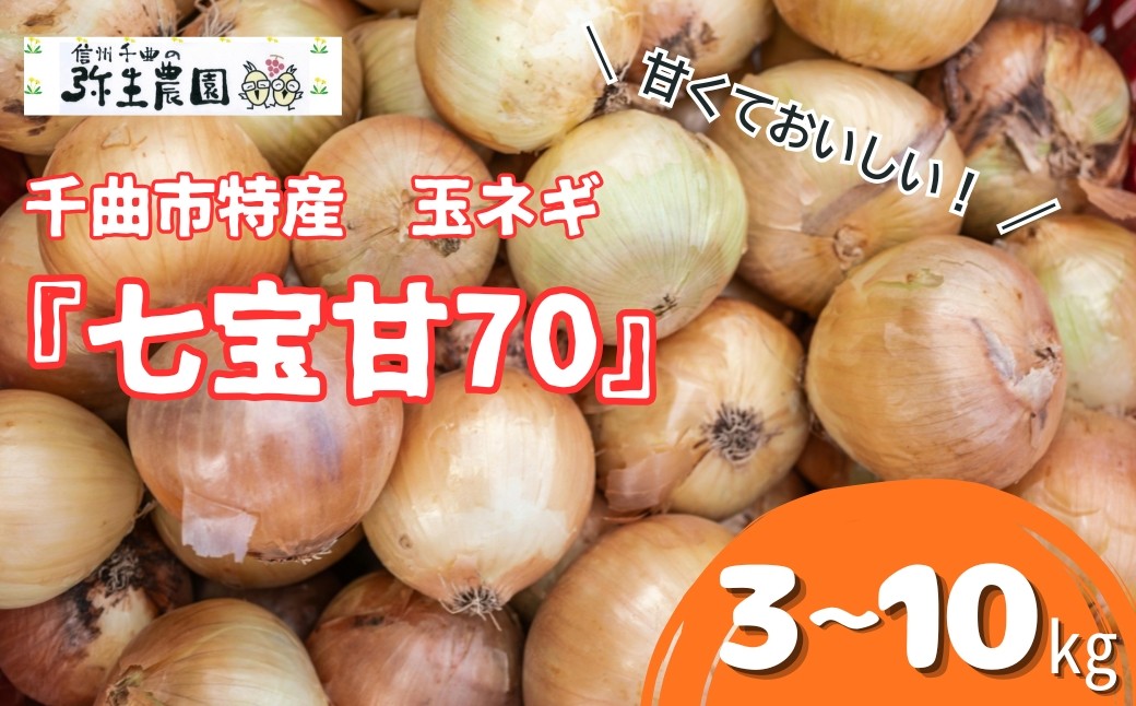 
                  【2026年先行予約】千曲市特産 玉ネギ ｢七宝甘70｣ 3kg~10kg | 玉ねぎ たまねぎ 国産 野菜 農家直送 甘い 信州 千曲 長野 長野県
                