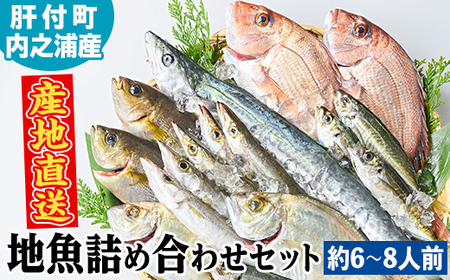 【C09001】地魚詰め合わせセット(約6～8人分) 朝獲れ 鮮魚 地元の魚屋が選別 旬 魚 地魚 さかな 刺身 煮つけ 焼き魚 詰合わせ セット 海産物 国産【マルケイ水産】