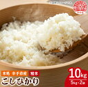 【ふるさと納税】令和6年幸手産 こしひかり【精米】5kg×2袋 - コシヒカリ 精米 10kg 令和6年産 埼玉県 幸手市 幸手市産【価格改定ZA】