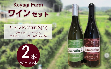 ワイン 2本セット ブラック・クィーン×マスカット・ベリーA / シャルドネ