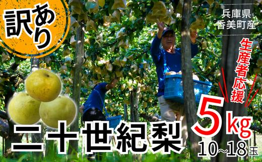 【梨 訳あり 20世紀梨 5kg（10～18玉）】生産者応援商品です！在庫100個のみ 台風で落下した梨やカメムシ被害を受けた梨です。順次発送 サイズバラつき有り（L～5L）農家応援  傷あり 不揃い ご家庭用 二十世紀梨 シャキシャキ食感 ほどよい甘さとみずみずしさ 日本海に面する梨の本場 香美町 香住梨 フルーツ ナシ 青梨 和梨 ふるさと納税 JAたじま 10000円 12-23