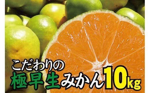 
										
										【2024年秋頃発送予約分】【農家直送】こだわりの極早生みかん 約10kg 【数量限定】 有機質肥料100% サイズ混合 ※2024年9月下旬より順次発送予定（お届け日指定不可）【nuk135B】
									