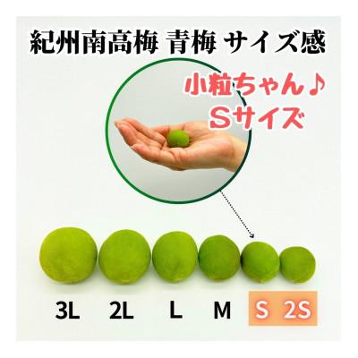ふるさと納税 有田川町 南高梅 青梅 秀品 小粒ちゃん 5kg Sサイズ以下 和歌山県産 紀州有田 産地直送 クール便対応 |  | 02