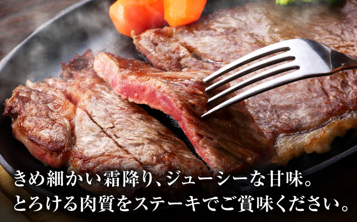 【6回定期便】黒毛和牛サーロイン ステーキ用 約400g（約200g×2枚）【吉里精肉】 [ZEW067]