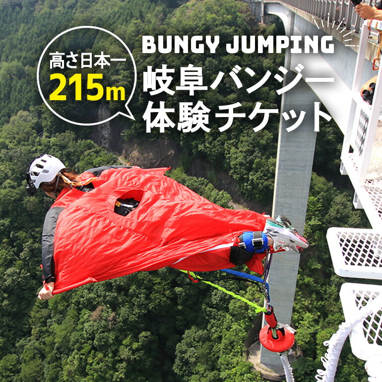 【ふるさと納税】 日本一 バンジージャンプ 高さ215m 体験チケット 1名様 岐阜バンジー y66-207