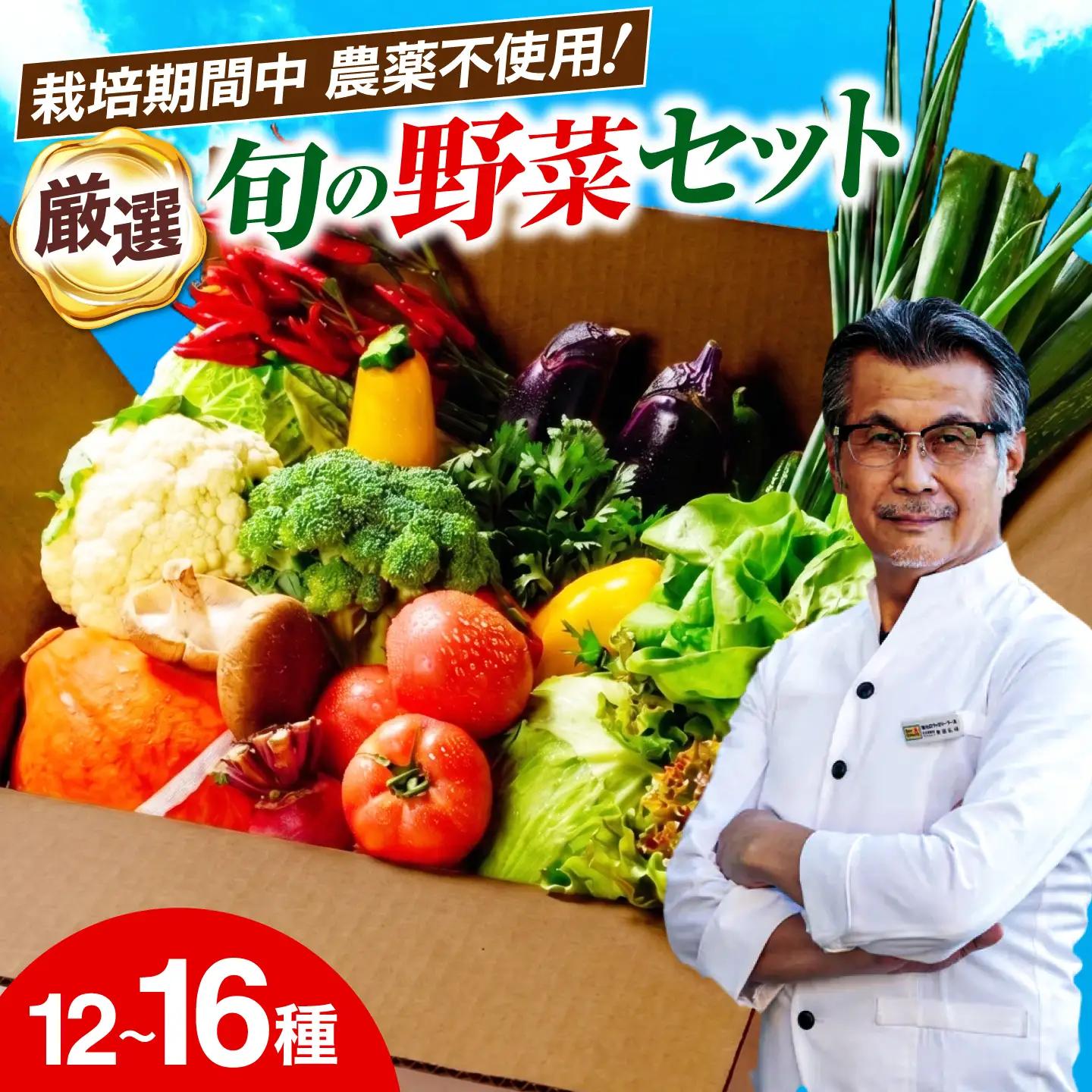 野菜セット（12-16種）野菜 詰め合わせ [AGBX003]