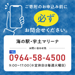 124-5　【海の駅・宇土マリーナ】ボートレンタル・ライセンス・陸地保管・係留料ご利用割引券 E_V24-0005