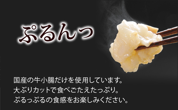 博多もつ鍋やまや　もつ鍋セット　あごだし醤油味(1～2人前) 小腸 もつ モツ もつ鍋 国産 牛ホルモン 国産牛小腸 冷凍 おすすめ 福岡県 大木町 株式会社やまやコミュニケーションズ CS013