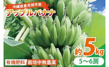 アップルバナナ 約5kg (DL004)