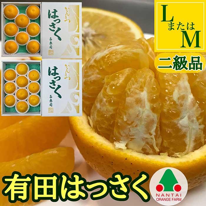 【ふるさと納税】手詰め 有田 はっさく L × 8玉 または M × 10玉 サイズ ちょっと 傷あり 南泰園 みかん