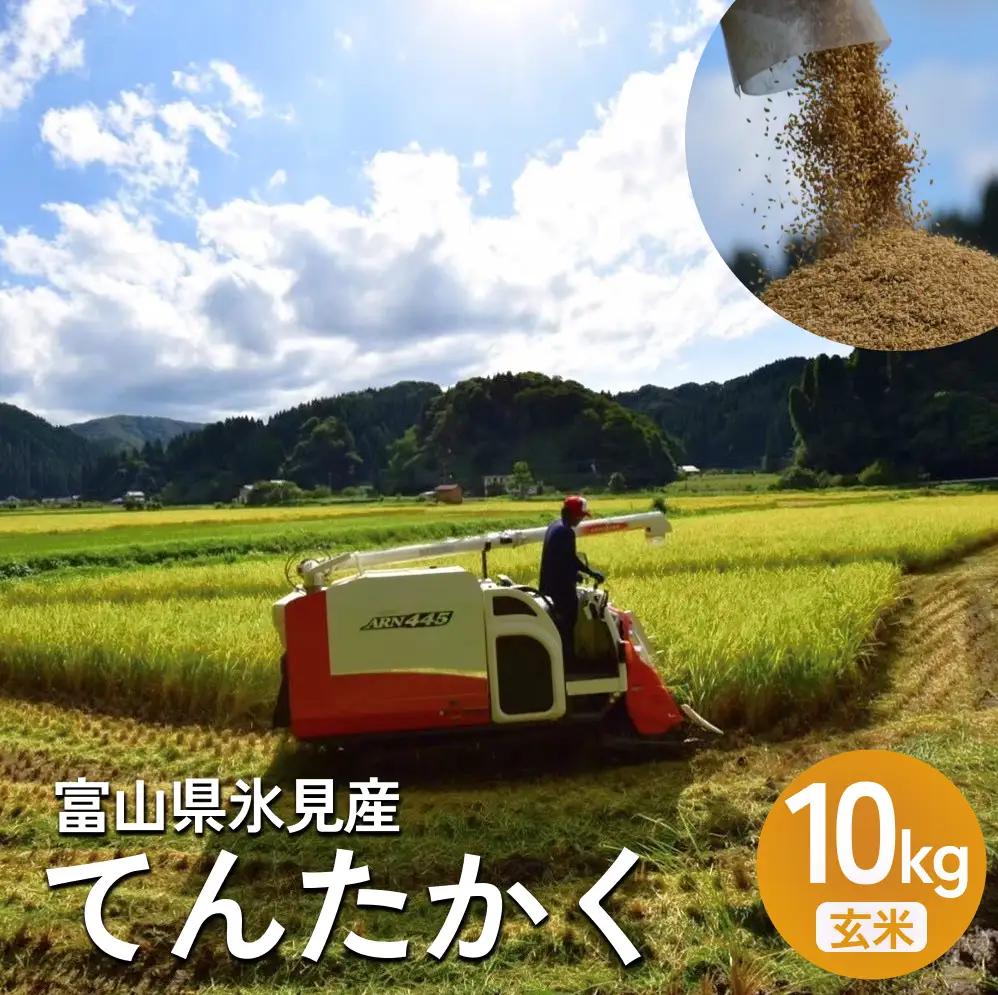 米 令和7年産 富山県氷見産 てんたかく 玄米 10kg | 玄米