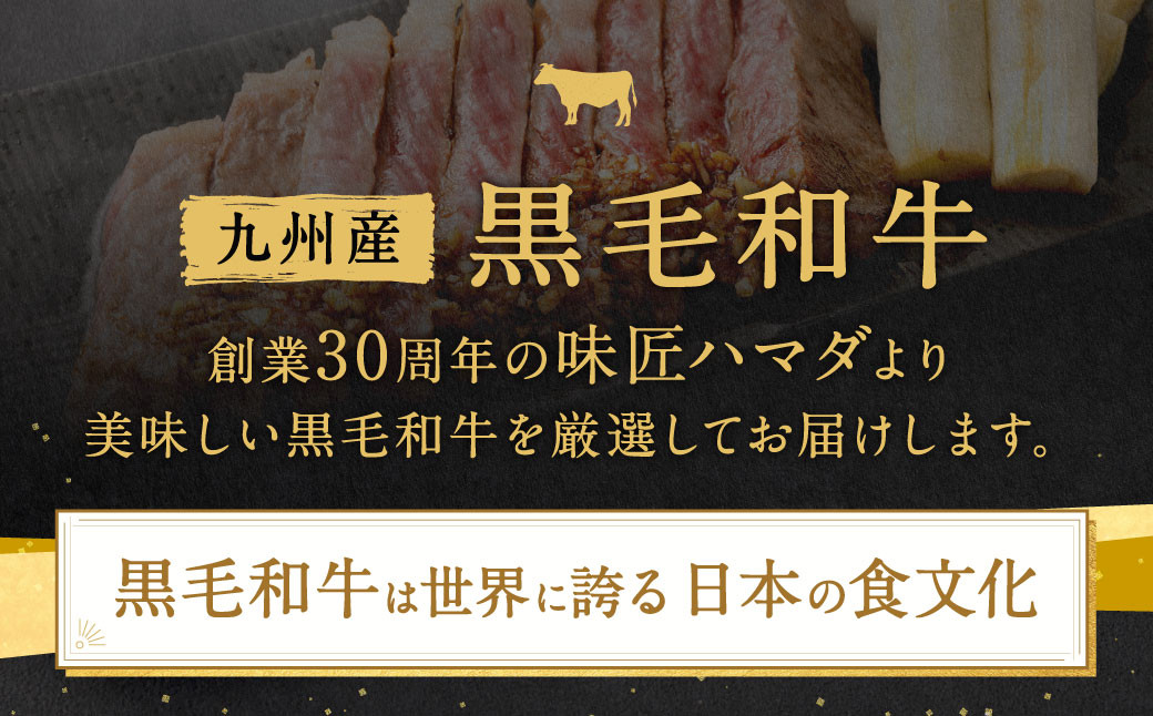 【6ヶ月定期便】 九州産 黒毛和牛 サーロインステーキ 合計約3kg (約250g×2枚×6回)