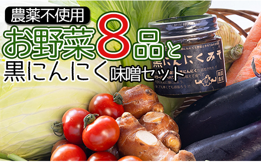 農薬不使用のお野菜8品と黒にんにく味噌のセット pr-0012