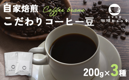 自家焙煎珈琲 こだわり コーヒー豆 600g （200g×3袋）