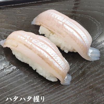 ふるさと納税 新温泉町 山陰のお刺身魚4点詰合(生サバ,ノドグロ,ハタハタ,フグ4種)高級魚　赤睦　ふぐたたき　とろはたはた |  | 01