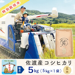 【新米予約 9か月定期便】佐渡島産コシヒカリ 玄米5Kg 令和7年 特別栽培米 農家直送