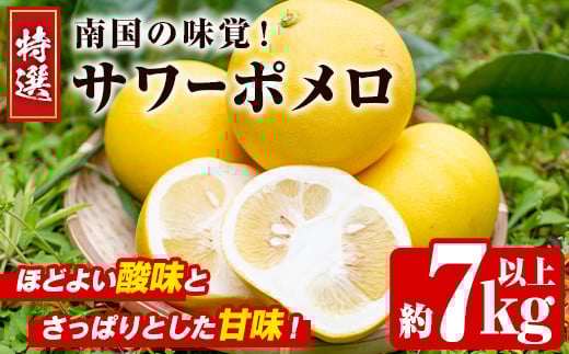 ＜先行予約受付中！2026年2月下旬以降発送予定＞数量限定！特選サワーポメロ(正味約7.0kg～7.5kg・ L～3Lサイズ13～18個) 国産 フルーツ 果物 柑橘類 サワーポメロ 甘味 酸味 デザート おやつ【なかむら果樹園】akn014-02