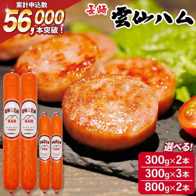 【ふるさと納税】 ハム 雲仙ハム 高評価★4.87 選べる 量 ソーセージ 大・小 300g×2～3本 800g×2本[ 人気 絶品 ハム ソーセージ セット 詰め合わせ おつまみ おかず 弁当 冷蔵 国産 小分け 一人暮らし 単身 雲仙ハムASTY 長崎県 島原市 ふるさと納税 422037005] ◎