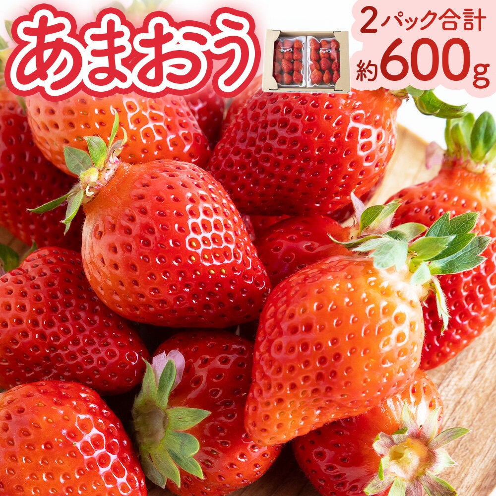 【ふるさと納税】 千年いちご あまおうイチゴ (300g×2パック) あまおう いちご イチゴ 苺 フルーツ 果物 冷蔵 送料無料 福岡県 うきは市 【2025年12月下旬から2026年3月お届け】