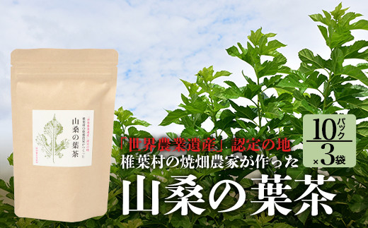 
【世界農業遺産の産物】焼畑農家がつくった山桑の葉茶 ティーバック 10パック入り×3袋【桑茶】
