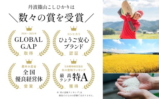 【定期便・新米8年産】特Aランク 特別栽培米 コシヒカリ　5kg（全3回） 兵庫県 丹波篠山市 白米 100％単一原料米 産地直送米 おいしい お米 精米 コシヒカリ ブランド おこめ 健康 送料無料