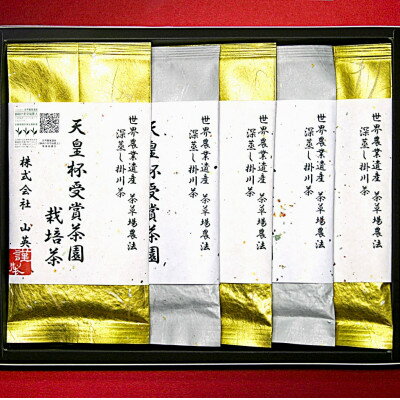 【ふるさと納税】天皇杯受賞茶園栽培のプレミアム茶100g×5袋【配送不可地域：離島・沖縄県】【1551501】
