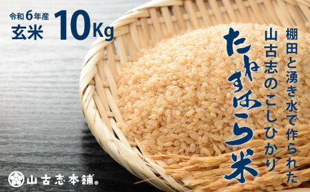 G3-7G10旧山古志村のこしひかり「たねすはら米」玄米10kg（新潟県産コシヒカリ）