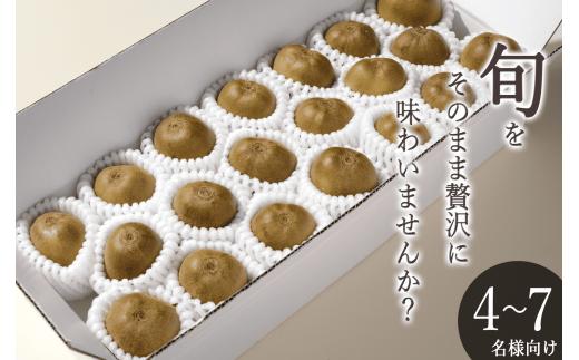 ＜先行予約2026年＞南アルプス市産 完熟レッドキウイ 1.6kg(21~24個入)  ALPAL053