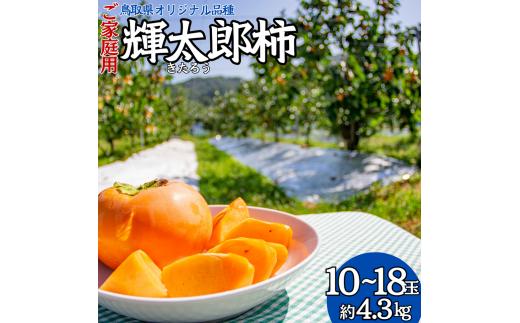 22M.輝太郎柿10～18玉〔ご家庭用〕
